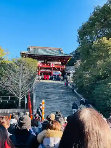 鶴岡八幡宮の初詣