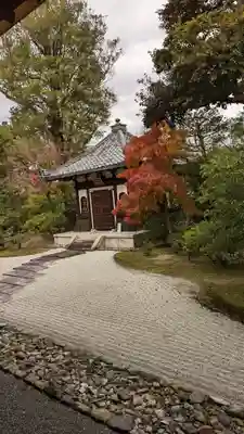 建仁寺（建仁禅寺）(京都府)