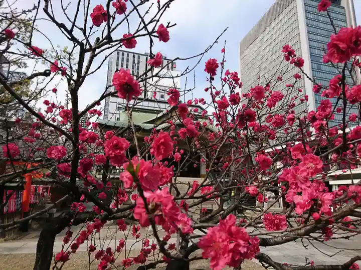 難波神社の自然