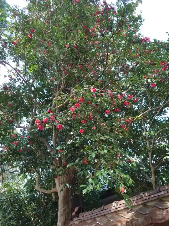 医王寺(福島県)