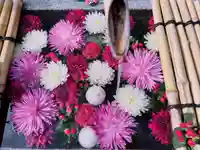 【閉業】小石川大神宮(東京都)