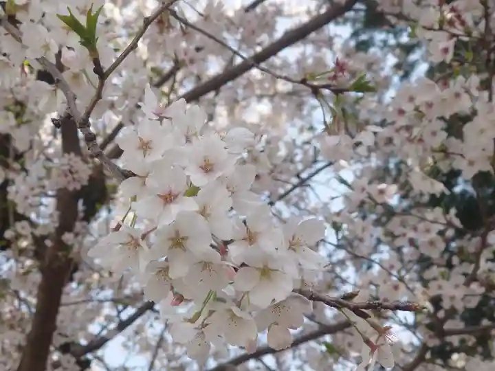 宇都母知神社(神奈川県)