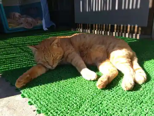 妙行寺(福井県)