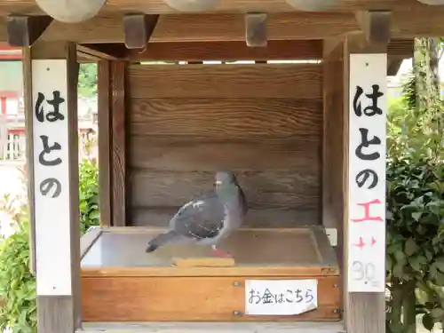 浄土寺(広島県)