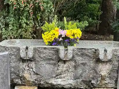 千鳥ヶ淵戦没者墓苑(東京都)