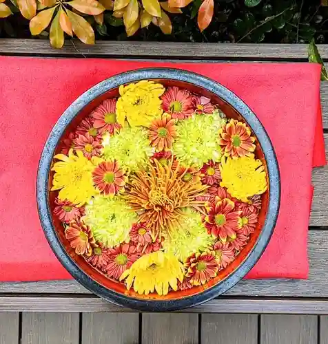 増上寺塔頭 三縁山 宝珠院の手水舎