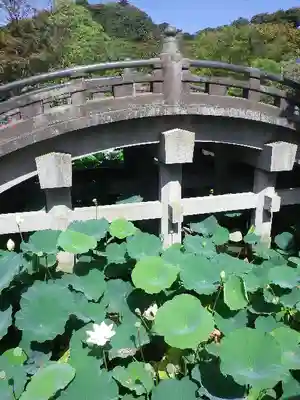 鶴岡八幡宮のその他建物