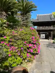 伊勢の国 四天王寺(三重県)