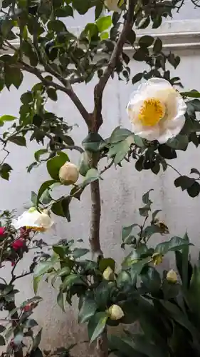 誓願寺(京都府)