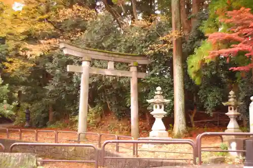 天津神社(新潟県)