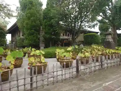 金剛院(東京都)