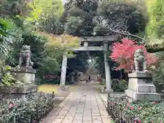 赤坂氷川神社の鳥居