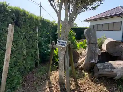 天神社(千葉県)