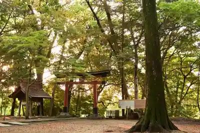 氷川女體神社(埼玉県)