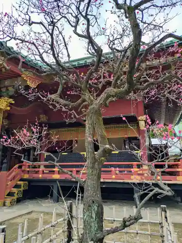 根津神社(東京都)