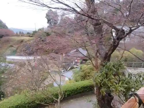岡寺（龍蓋寺）(奈良県)