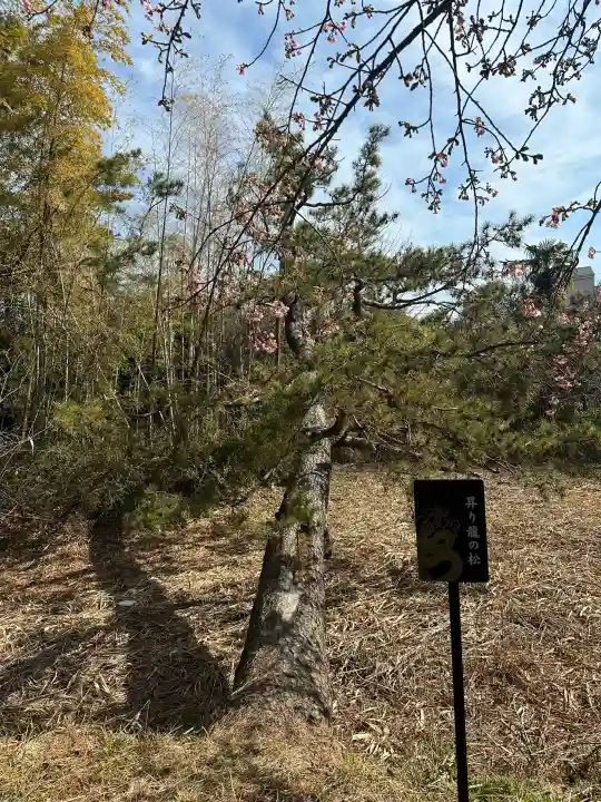 鶴嶺八幡宮の{uncategorized: "未分類", other: "その他", undefined: "問題あり", building: "その他建物", grave: "お墓", sacred_gate: "鳥居", guardian: "狛犬", statue: "像", buddha: "仏像", history: "歴史", nature: "自然", garden: "庭園", animal: "動物", pagoda: "塔", temizu: "手水舎", mountain_gate: "山門・神門", sanctuary: "本殿・本堂", subordinate: "末社・摂社", art: "芸術", scenery: "景色", jizo: "地蔵", ema: "絵馬", goshuin: "御朱印", omikuji: "おみくじ", items: "授与品その他", amulet: "お守り", goshuincho: "御朱印帳", eats: "食事", festival: "お祭り", votive_dance: "神楽", shichigosan: "七五三参", wedding: "結婚式", experience: "体験その他", initially: "初詣", around: "周辺", anti_infection: "感染症対策"}
