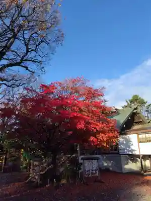 厚別神社(北海道)