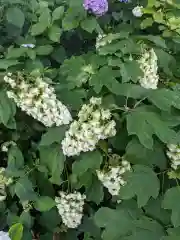 御裳神社の自然