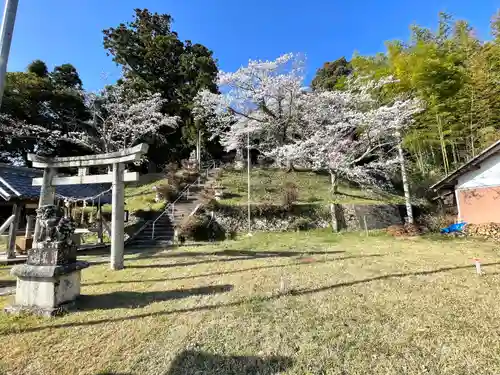 井林神社の鳥居