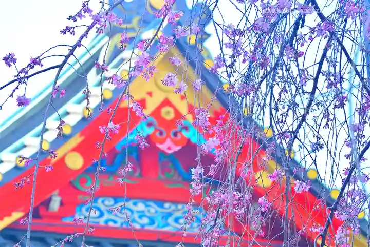 神田神社(神田明神)の自然