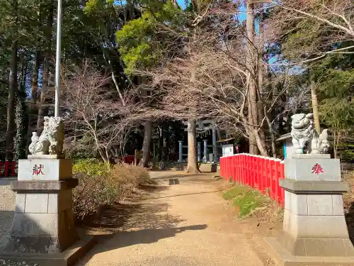 麻賀多神社奥宮の狛犬