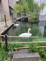 頂法寺（六角堂）(京都府)