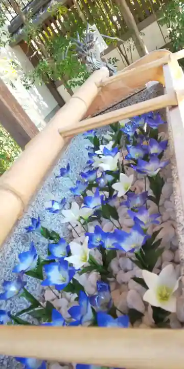 晴明神社の手水舎