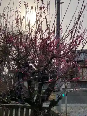 乙津寺　（鏡島弘法）(岐阜県)