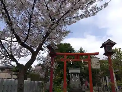 總社 和田八幡宮(福井県)