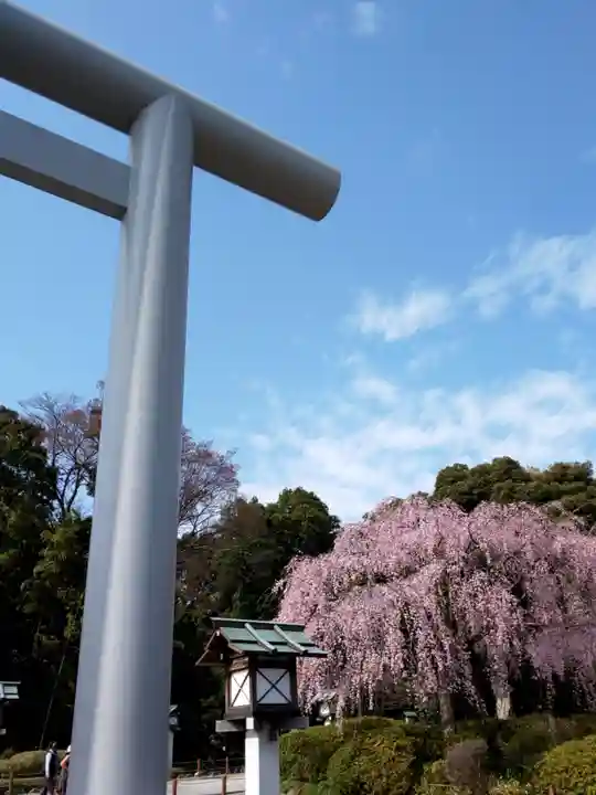櫻木神社のその他建物