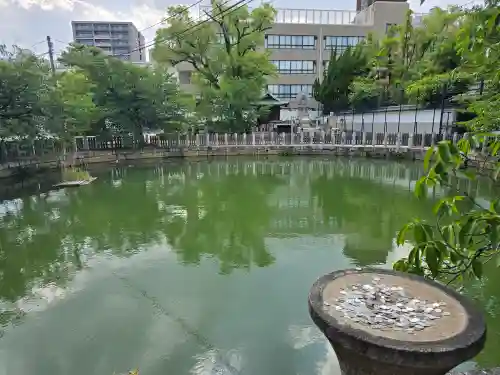 四天王寺の庭園