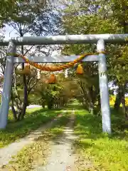 御園神社の鳥居