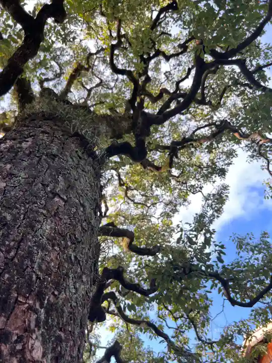 晴明神社(京都府)