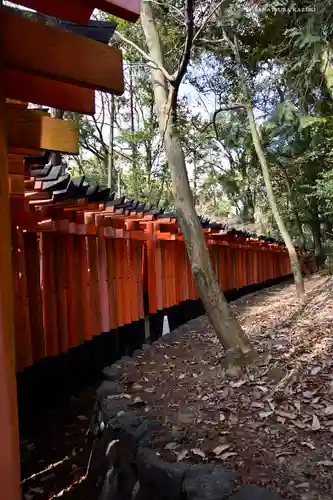 伏見稲荷大社 奥社奉拝所の鳥居