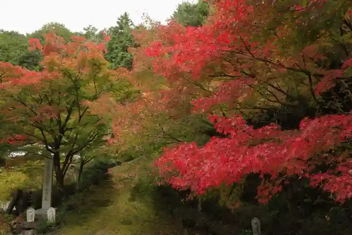 苗秀寺(京都府)