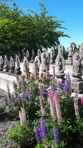 極楽山　浄土寺の地蔵