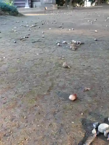 伏木香取神社(茨城県)
