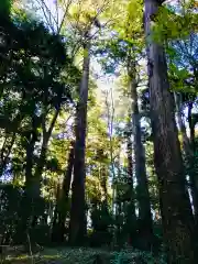 阿弥神社の周辺