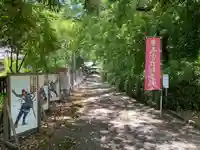 秦神社(高知県)