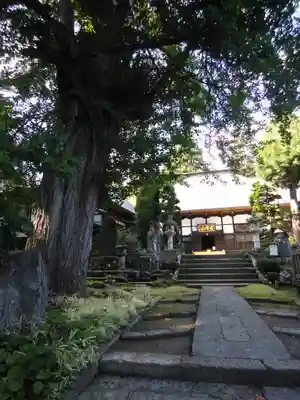 珍蔵寺　のその他建物