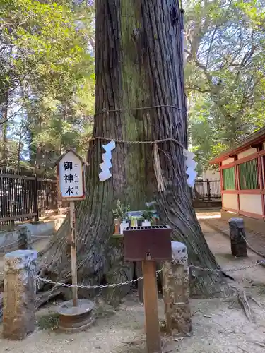 一言主神社(茨城県)