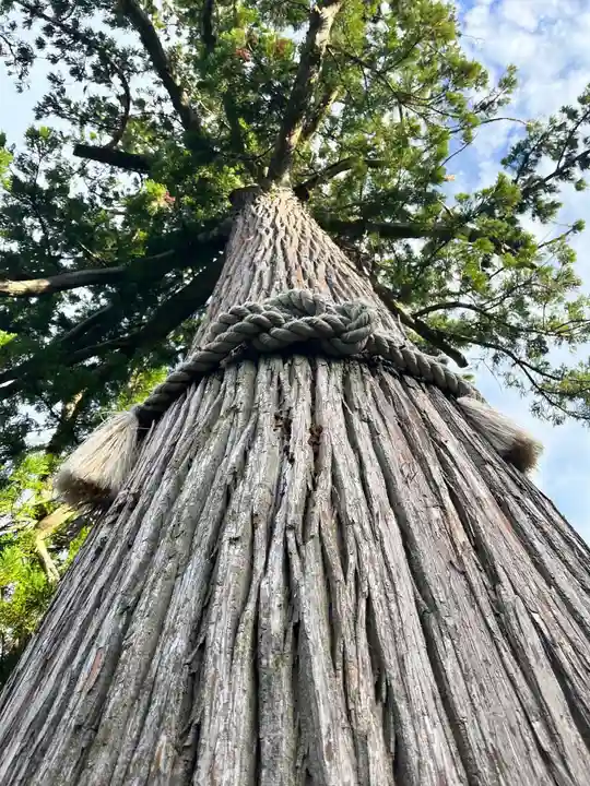 興国寺(和歌山県)