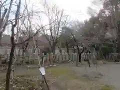 平野神社(京都府)