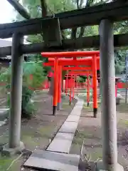 三囲神社の鳥居