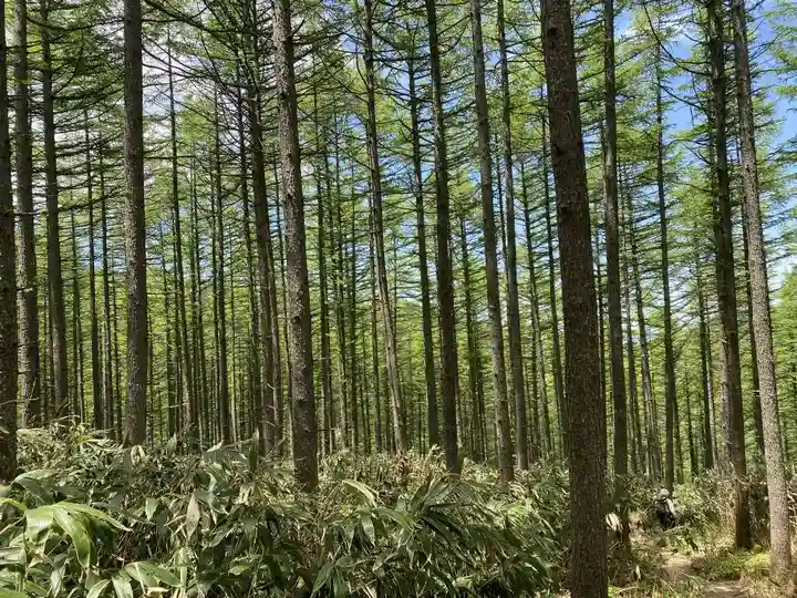 恵那神社 本社(岐阜県)