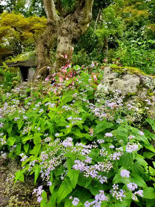 石都々古和気神社(福島県)