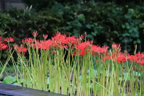 熊野福藏神社の庭園