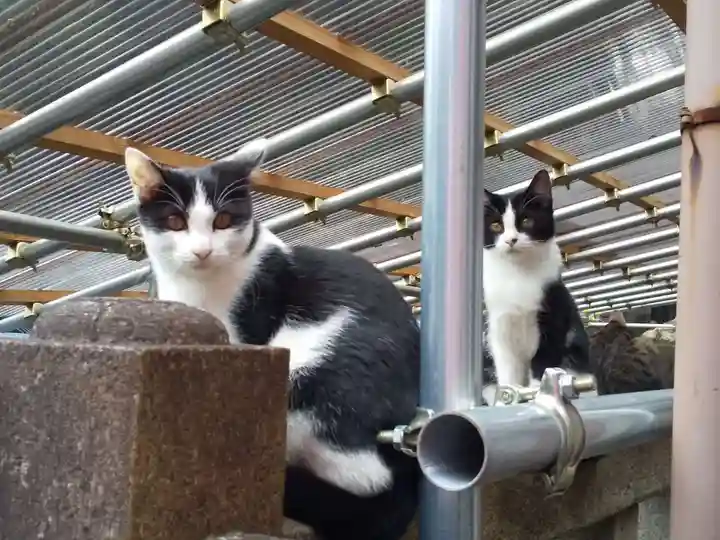 明竹稲荷宮 腰神不動神社(京都府)