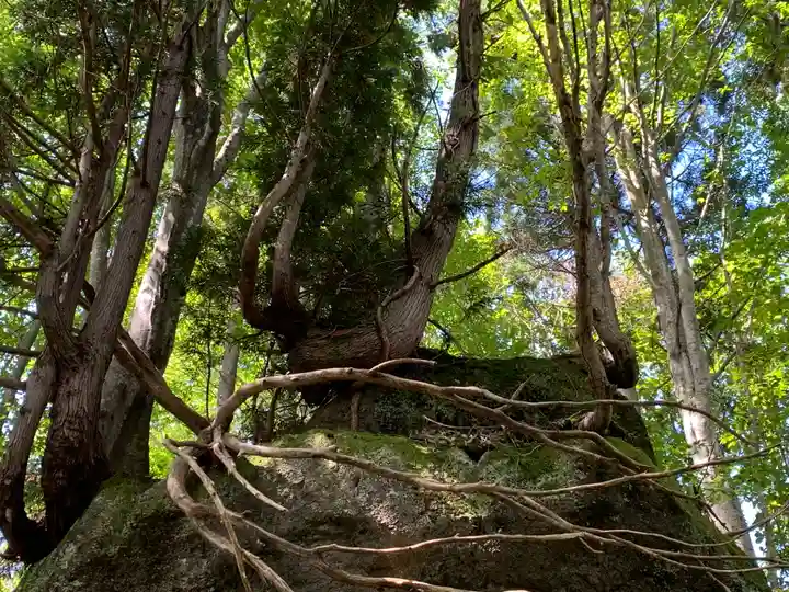 三石神社の自然